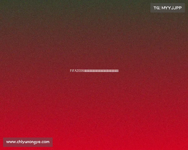 FIFA2006世界杯主题蛋糕创意设计与足球盛宴甜点展示精选